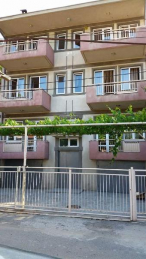 Nikola Hotel House